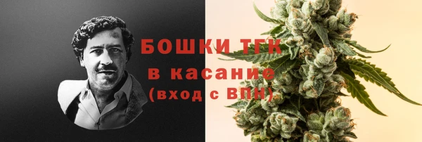 эйфоретик Майский