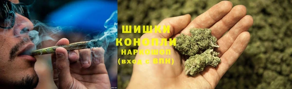эйфоретик Майский