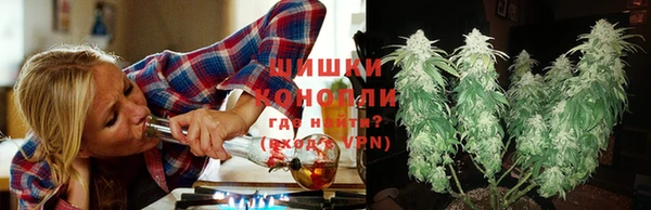 гашиш Магас