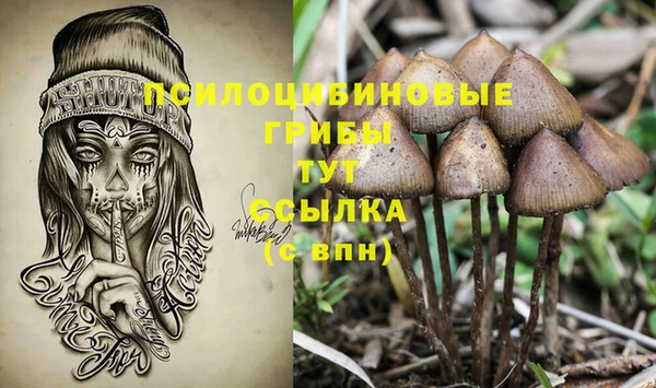 эйфоретик Майский