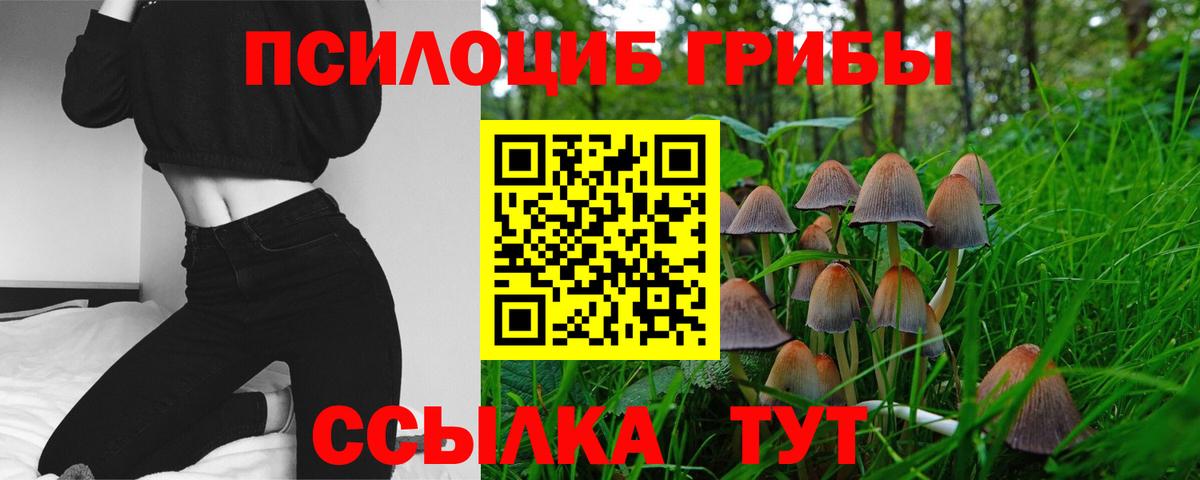 Псилоцибиновые грибы MAGIC MUSHROOMS  Псилоцибиновые грибы GOLDEN TEACHER  Миасс  Вход с VPN 