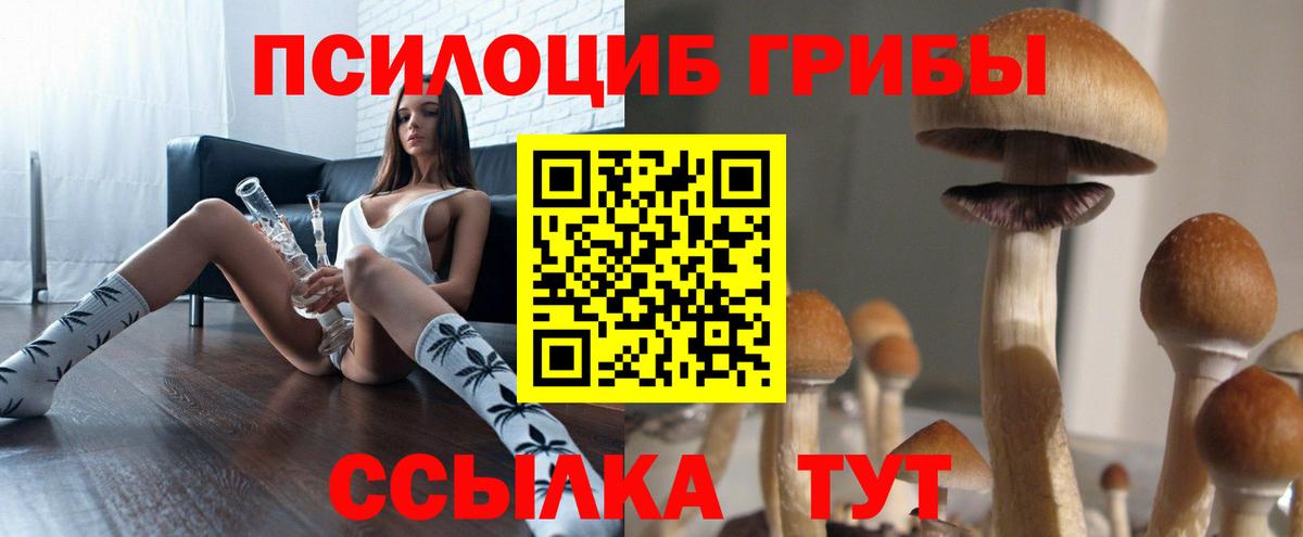 Миасс  Галлюциногенные грибы мухоморы  Вход с VPN  Псилоцибиновые грибы мицелий 